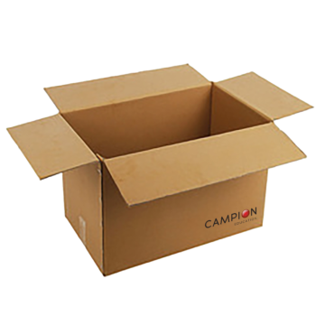 Camption-Carton-Example